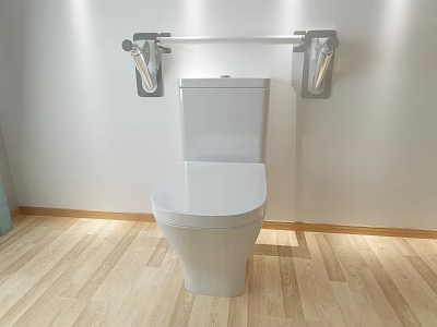 Modern White Toilet Bathroom Interior With Wall Mounted Fixtures And Wooden Floor 3d model