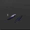 Two Whales Swimming in Dark Background with Realistic 3D Rendering and Lifelike Details