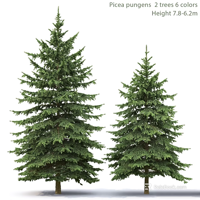 Decorative Ornament Set With Two Green Pine Trees For Home Decoration 3d model 
