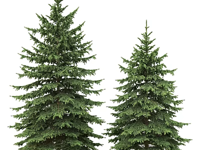 Decorative Ornament Set With Two Green Pine Trees For Home Decoration 3d model