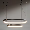 Modern Double Ring Pendant Light With Illuminated Circular Design And Metallic Frame 3d model