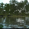 Waterfront Landscape with Lush Trees Green Grass Stones on Calm Water Reflections and Lotus Leaf