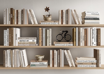 Modern Books Ornaments Books 3d model