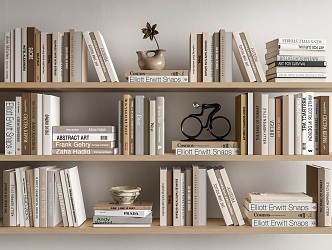 Modern Books Ornaments Books 3d model