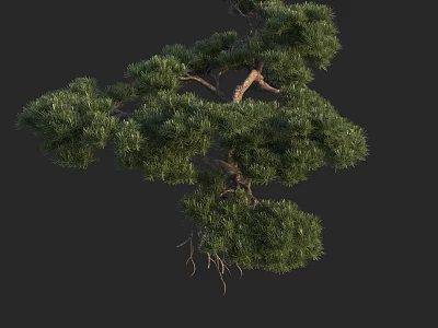 Lush Green Arbor With Dense Foliage And Natural Branch Structure 3d model
