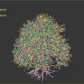 Lush Vibrant Pink Flowering Tree With Blooming Branches Against Gray Background