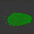 Red Hairy Creature With Long Thin Legs Oval Body And Dark Background