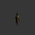 Golden Fish With Orange Fins And Tail Scales On Gray Background With Reflection
