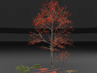 Tall Arbor With Vibrant Red Leaves And Fallen Leaves Around Small Shrubs 3d model