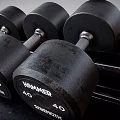 Black Troy Dumbbells with Different Weights on Black Fitness Equipment Rack