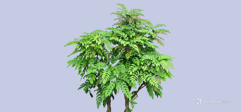 Healthy Green Shrub With Lush Dense Foliage And Natural Branch Structure In Garden 3d model 