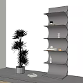 Modern Black Shelving Unit in Indoor Space with Decorative Items and Green Plant