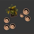 Sunflower Plant In Brown Pot With Stacked Terracotta Pots Of Various Sizes
