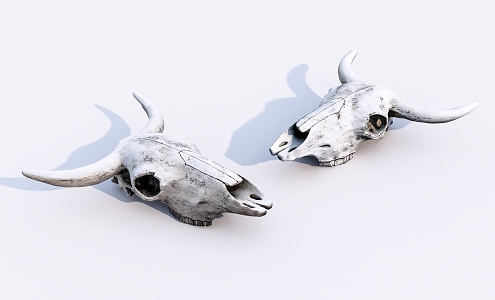 modern skull bull skull 3d model