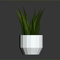 White Geometric Shaped Pot With Green Long Leaf Plant For Home Decor