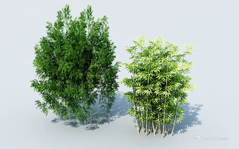 Lush Green Bamboo Plants With Tall Stems And Vibrant Foliage In Natural Setting 3d model 