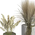 Decorative Ornament Set with Green and Transparent Vases Dried Grasses and Wheat Stems