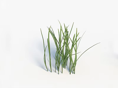 Vibrant Green Grass Blades Growing Isolated On White Background 3d model