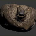 Flying Animal Duck With Brown Feathers Green Patches And Gray Beak On Dark Surface