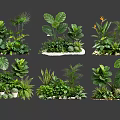 Lush Diverse Ornamental Plant Combinations With Large Leaves Succulents And Ferns
