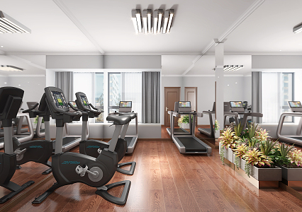 Modern Gym Home Gym 3d model