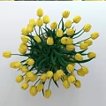 Yellow Tulips Arrangement in Transparent Glass Vase with Green Leaves