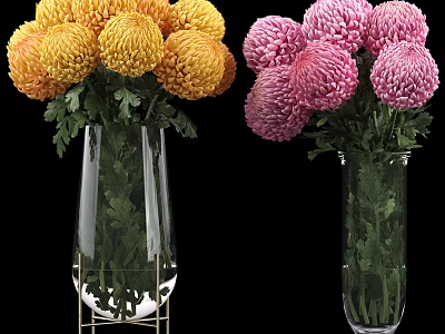 Transparent Glass Vases with Yellow Pink Chrysanthemums and Green Leaves on Black Background 3d model