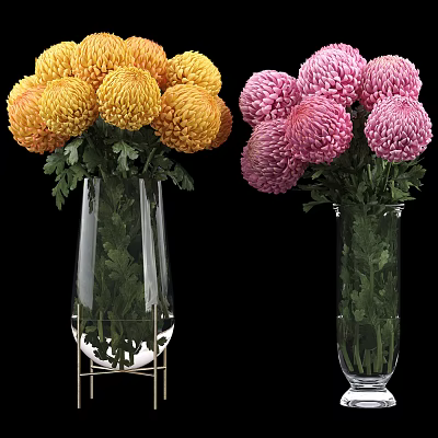 Transparent Glass Vases with Yellow Pink Chrysanthemums and Green Leaves on Black Background 3d model