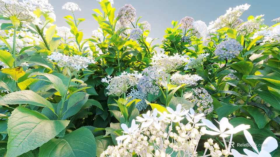 Blooming Garden Flowers And Plants With White Purple Blooms And Lush Green Leaves 3d model 