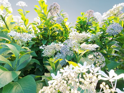 Blooming Garden Flowers And Plants With White Purple Blooms And Lush Green Leaves 3d model