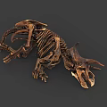 Highly Detailed Triceratops Skeleton 3D Model With Realistic Bone Structure