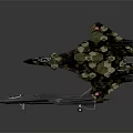 Two Military Fighter Jets Gray And Camouflage Displayed On Dark Background