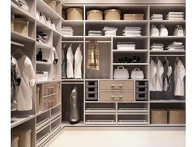 Modern Closet Interior With Hanging Clothes Shelves Drawers And Storage Bins 3d model