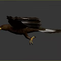 Majestic Eagle Flying With Spread Wings And Brown White Feathers On Grey Background