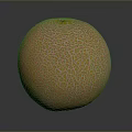 Fresh Ripe Whole Cantaloupe Melon with Orange Netted Skin on Dark Background