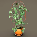 Decorative Climbing Plant With Green Leaves White Spots On Red Metal Trellis In Orange Pot