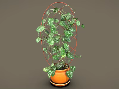 Decorative Climbing Plant With Green Leaves White Spots On Red Metal Trellis In Orange Pot 3d model
