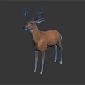 Deer With Brown Coat And Large Antlers Standing On Black Background With Reflection 3d model