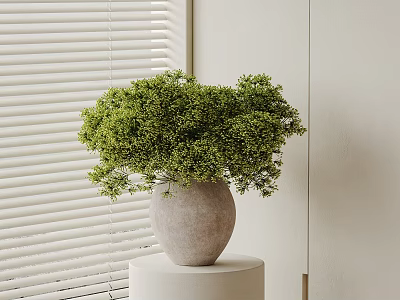 Modern Bonsai Plant in Light Gray Pot on White Cylindrical Stand with Green Lush Foliage 3d model