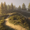 Stunning Golden Hour Pine Forest Hillside Dirt Road Natural Scenery With Parked Off Road Vehicle
