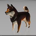 Shiba Inu 3D Model with Brown and White Fur Standing on Dark Background with Reflection