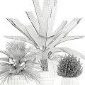 Different Green Potted Plants with Large Leaf Palm Small Shrubs in Woven White Gray Pots