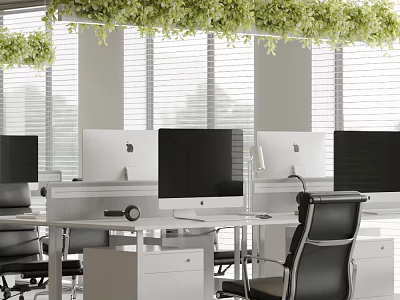 Modern Public Office Space With Desks Computers Hanging Plants And Window Blinds 3d model
