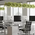 Modern Public Office Space With Desks Computers Hanging Plants And Window Blinds 3d model