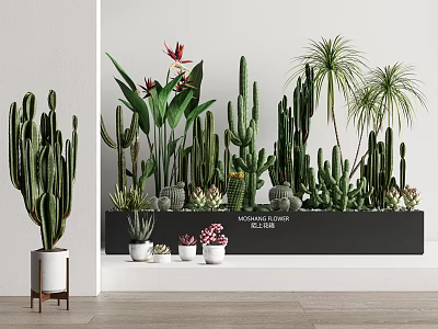 Various Potted Cactus and Succulent Plants in Wall Mounted Black Planter and White Shelf 3d model
