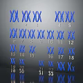 Blue X Shaped Symbols With Numbers Arranged In Rows On Gray Background With Reflection