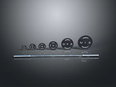 Home Fitness Barbell Set With Multiple Weight Plates And Steel Bar 3d model