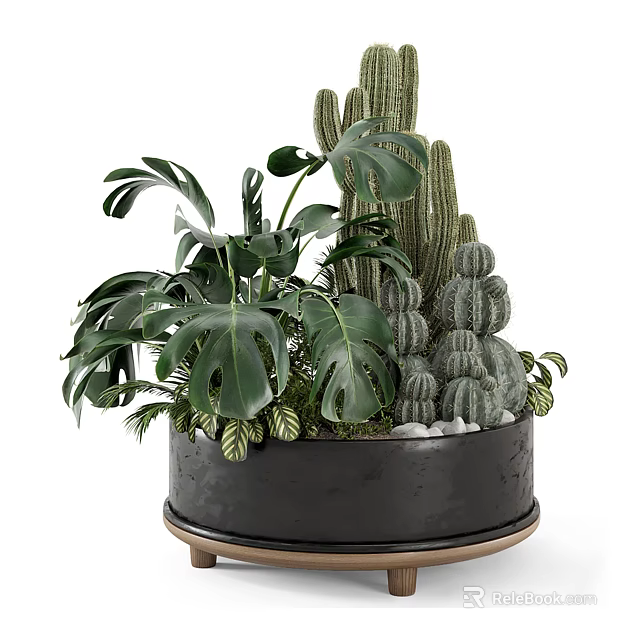 Bonsai Potted Plant with Monstera Leaves Cactus and Succulents in Black Pot on Metal Stand 3d model 