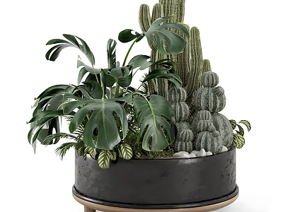 Bonsai Potted Plant with Monstera Leaves Cactus and Succulents in Black Pot on Metal Stand 3d model