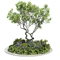 Beautiful Garden Landscape With Twisted Trunk Tree Green Plants And Purple Flowers In Circular Arrangement